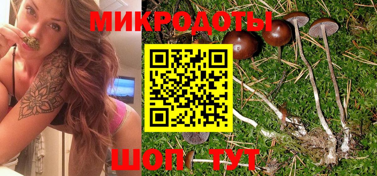 Галлюциногенные грибы Magic Shrooms Саров