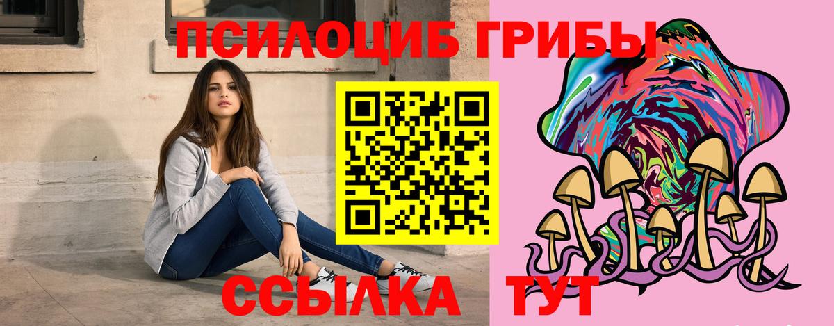 Псилоцибиновые грибы GOLDEN TEACHER  Вход с VPN  Саров 